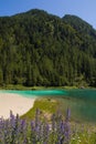 View of beautiful alpine lake with emerald water in Piedmont Royalty Free Stock Photo