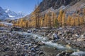 Aktru glacier, Altai Mountains, Russia. Royalty Free Stock Photo
