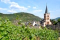 view of beautiful ancient European German Bacharach city, Old Post Compound With Postenturm, Grape Escape Rhine Valley, slate Royalty Free Stock Photo