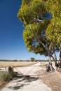 View of beautiful Australian rural road. South Australia