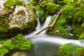 View of a beautiful autumn creek near Bohinj Royalty Free Stock Photo