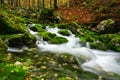 View of a beautiful autumn creek near Bohinj Royalty Free Stock Photo