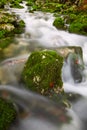 View of a beautiful autumn creek near Bohinj Royalty Free Stock Photo