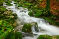 View of a beautiful autumn creek near Bohinj Royalty Free Stock Photo