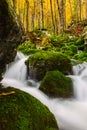 View of a beautiful autumn creek near Bohinj Royalty Free Stock Photo