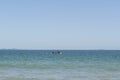 View of beautiful beach in FlorianÃÂ³polis, Brazil. Two men kayaking in the turquoise sea under beautiful clear sky on vacation day