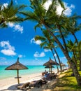 Beautiful exotic beach in Trou aux Biches, Mauritius Royalty Free Stock Photo