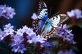 view beautiful butterfly on blue flowers in the garden