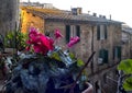 Siena, historical Center. natural landscape. Italy.