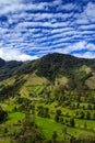 Beautiful cloud forest and the Quindio Wax Palms at the Cocora Valley located in Salento in the Quindio region in Colombia Royalty Free Stock Photo