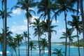 View of beautiful coconut palms Royalty Free Stock Photo