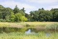View on a beautiful Dutch summer landscape with grass, trees, a pond, wild flowers.