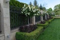 View of a beautiful garden with white roses Royalty Free Stock Photo