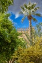 View of the beautiful gardens of the Alcazar de los Reyes Cristianos