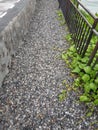 View of beautiful gravel path.