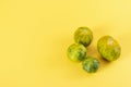 View of beautiful green zebra tomatoes Royalty Free Stock Photo