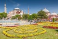 View of beautiful Hagia Sophia with a flowerbed with colorful flowers, Christian patriarchal basilica, imperial mosque and now a