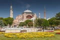 View of beautiful Hagia Sophia with a flowerbed with colorful flowers, Christian patriarchal basilica, imperial mosque and now a