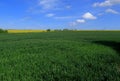 A view of the Beautiful Kent countryside around Minster