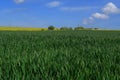 A view of the Beautiful Kent countryside around Minster