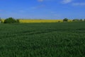 A view of the Beautiful Kent countryside around Minster