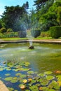 A pond at Kingsnorth Gardens Folkestone England Royalty Free Stock Photo