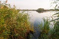 View of a beautiful lake in Vacaresti Nature Park, Bucharest City, Romania Royalty Free Stock Photo