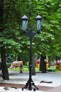 View of a beautiful lamppost in the city park of Smolensk