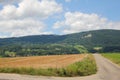 View of beautiful landscape in the Alps with fields Royalty Free Stock Photo