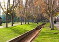 Beautiful landscape of autumn park. Pathway with fallen leaves