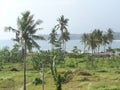 The view of beautiful landscape of beach with coconut trees, grassland with cloudy sky