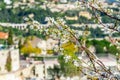 View of beautiful landscape with Mediterranean luxury resort. Royalty Free Stock Photo