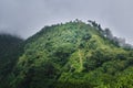 view of the Beautiful Landscape tea plantation in the hills of Darjiling, India, Nature background Royalty Free Stock Photo