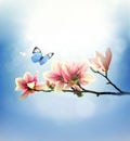 View of beautiful magnolia and butterfly with blue sky background. Spring and summer concept Royalty Free Stock Photo