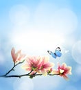 View of beautiful magnolia and butterfly with blue sky background. Spring and summer concept Royalty Free Stock Photo