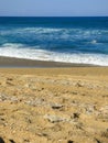 View of the beautiful Mocambique beach on a sunny day - Florianopolis, Brazil