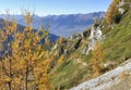 View on beautiful mountain in autumn with yellow larches