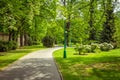 View of beautiful park with green lawns, blooming trees and bushes