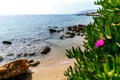 View of a beautiful sandy beach and sea through green plants and red flowers. Tropical beach. Greece, Ionian Sea
