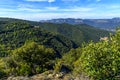View of a beautiful scenic green forest on mountains Royalty Free Stock Photo