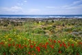 A view of a beautiful sea view in Ayia Thekla in Ayia Napa, Cyprus.Autumn season, full of flowers beautiful view or the mediterran