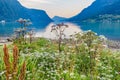 Sognefjord panorama from Skjolden Norway Royalty Free Stock Photo