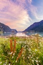 Sognefjord panorama from Skjolden Norway Royalty Free Stock Photo