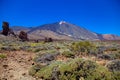 View of beautiful volcano Teide in summer