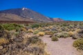 View of beautiful volcano Teide in summer