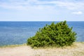 View of beautifull see landscape in Saaremaa, Estonia. Royalty Free Stock Photo