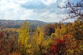 View on a beautifuly couloured forest