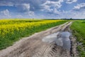 View of a rural road in the Lublin region in Poland