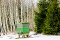 A view of beehive in a forest in winter day in Latvia