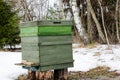 A view of beehive in a forest in winter day in Latvia